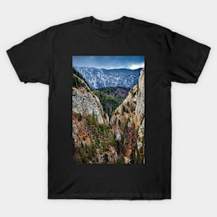 Canyon and mountain range T-Shirt